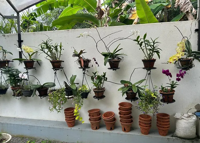 Dinu Lanka Resort