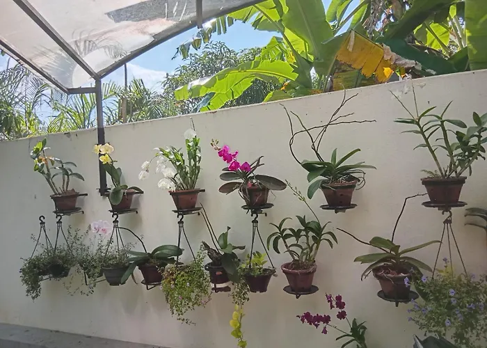 Dinu Lanka Resort